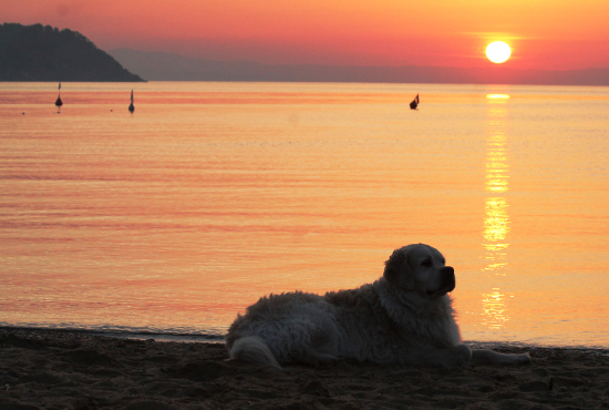 vacanza all'Elba